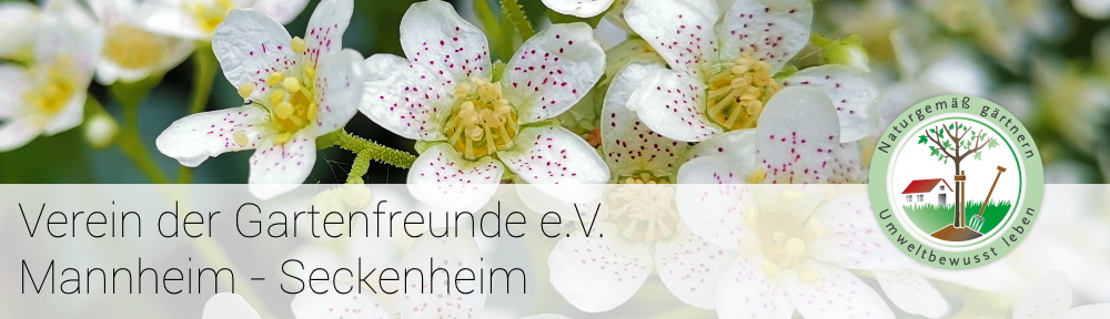 53+ Verein Der Garten Freunde, Einen erholungsgarten zur pacht finden